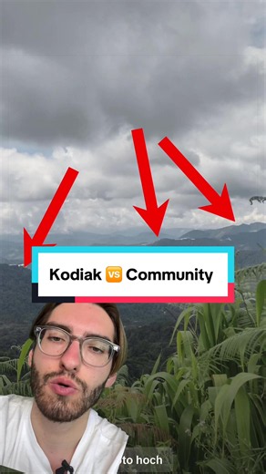 So Louis, was jetzt? Ihr seht, selbst eine Riesenrad-Gondel lässt sich finden. Seit also immer vorsichtig, wenn ihr online was postet. Kodiak würde nichts suchen, was persönliche Infos wie z.B. euren Wohnort preisgeben würde. 🫶#geoguessr #geographie #meme #kodiak #challenge
