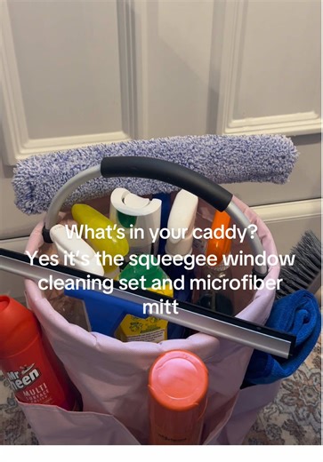 What’s in your caddy? 🫧Mr Sheen 🫧Mr muscle 🫧 elbow grease 🫧Cif 🫧zaflora 🫧 pink stuff 🫧cleaning brushes Last but not least Had to add my Window Cleaning Set with Squeegee, Washing Mitt, and Microfibre Cloth!! #fyp #clean #cleantok #homesweethome #satisfyingvideos