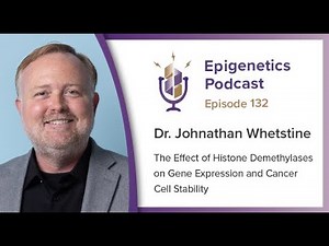 Epi Podcast #132 - Histone Demethylases in Gene Expression and Cancer with Johnathan Whetstine