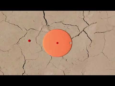 Axisymmetric rigid body spin