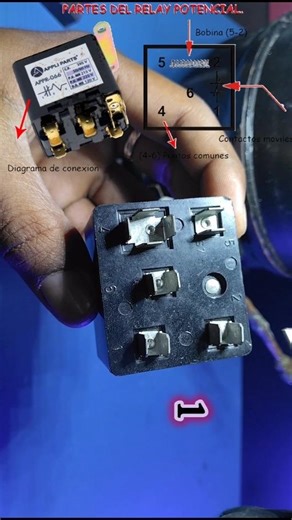 1 relay potencial conección