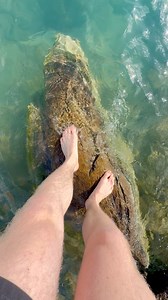 81K views · 2.3K reactions | Alaska spring time feels pretty incredible on these perfect sunny days! Captured last weekend  | John Derting | Facebook