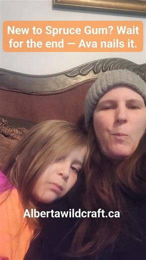 New to spruce gum? In this video, Ava and I show exactly how spruce gum turns from natural tree resin into a smooth, chewable piece of gum. You’ll see the full process in real time — from the first bite to how it softens and comes together — so you know exactly what to expect before trying it yourself. Spruce gum has been chewed for generations as a natural alternative to modern chewing gum. Unlike commercial gum, it comes directly from trees and contains no synthetic gum base. It is chewed slow