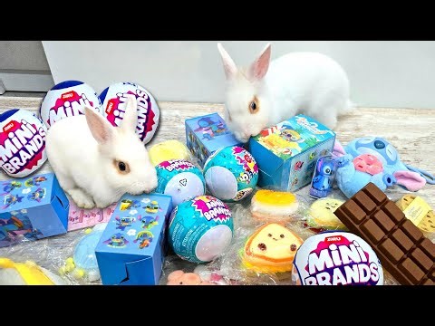 ASMR SQUISHY🩷6 MINIsquishies 2025 💖 NEW unpacking cute Mochi ASMR antistress packs👍WITH MY BUNNY 🐰
