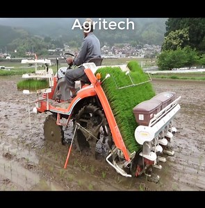 298K views · 20 reactions | Machines Technology in Rice Farming珞 | Dream Videos | Facebook