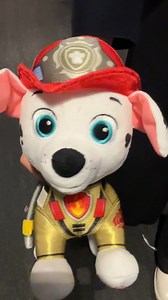 Marshall said we’re not doing that today! Teamwork makes the dream work :) | PAW Patrol