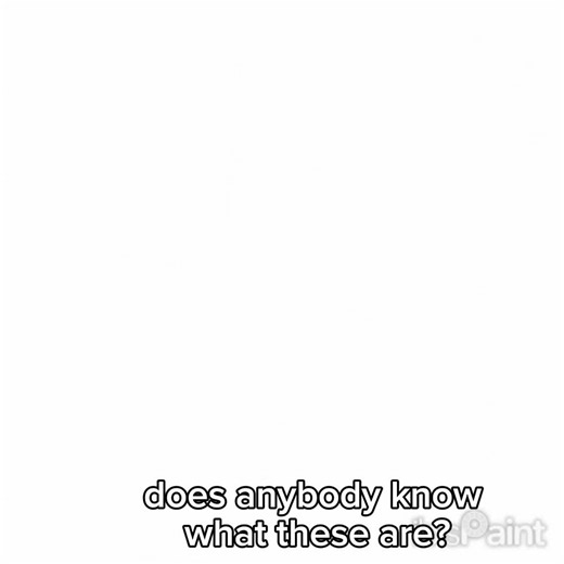 Worm On A String: A Drawing Adventure