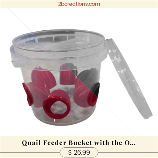 Ready to upgrade your quail game? 🎉🐦 Meet the Quail Feeder Bucket with the Original Quail Feed Saver Ports by 2B Creations! Made in the USA, this innovative feeder keeps your birds happy and your feed savings high, all for just $26.99. 💰✨ With its durable design and easy access ports, you’ll be the envy of every backyard bird enthusiast. Your feathered friends will love it, and so will your wallet! Don’t let a savvy quail feeder fly out of your grasp! Grab yours before they’re all gone. 🚀😉 