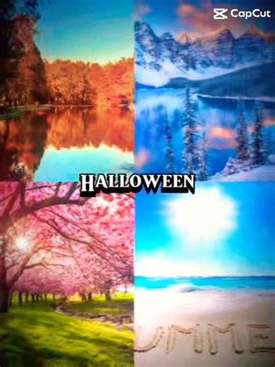Fall vs. Winter vs. Spring vs. Summer