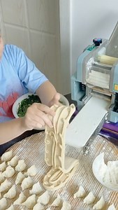 102K views · 613 reactions | A good kitchen helper can save you time and energy when preparing a hearty family feast. This machine can churn out exotically patterned dumpling wrappers in just a few minutes! #Delicacy #FunChina | China Plus Culture | Facebook