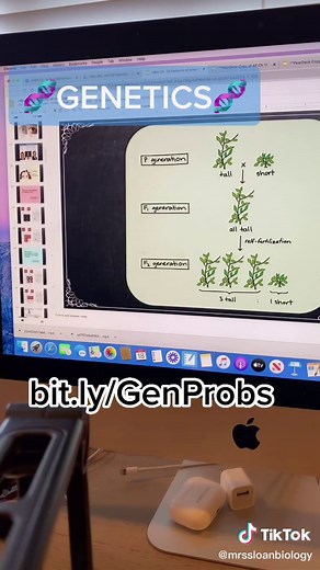 🧬 #genetics #review #school #e2 #tutorials #practice #biology
