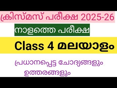 class 4 EVS Christmas Exam important questions and answers20254th standard EVS Christmas Exam