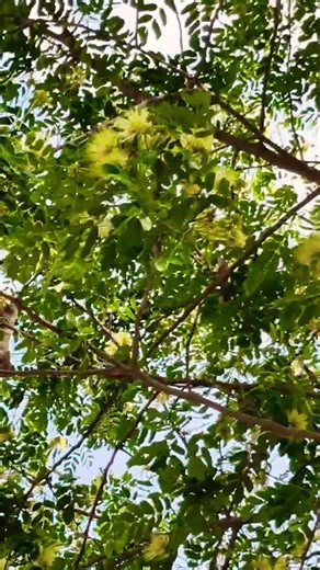 कुछ सिख सको तो #shortvideo #trending #shorts #short #viral #youtubeshorts #ytshorts #yt #youtuber