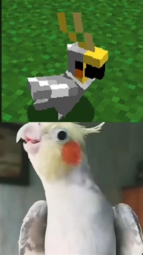 ISSO NÃO FAZ SENTIDO?#shorts #minecraft