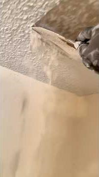 Scraping Popcorn Ceilings