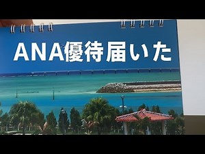 ANAから株主優待届いたぞ…中身はこれ！