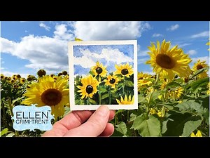 Sunflower Field Painting/ Watercolor Landscape/ Easy Step by Step Tutorial/ Mini Monday Madness/