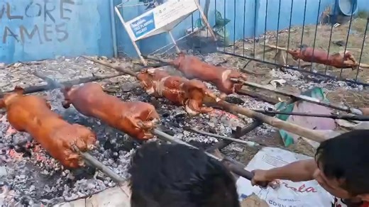 CRAVING FOR LECHON? WATCH: Barangay Gun-ob in Lapu-Lapu City celebrated its Lechon Festival, where local lechoneros competed for the best-tasting lechon. The highlight of the event was the roasting process, where the whole pig is slowly and carefully cooked to make sure it’s crispy on the outside and tender on the inside. | via Joy Torrejos #TheFreeman #Cebu | The Freeman