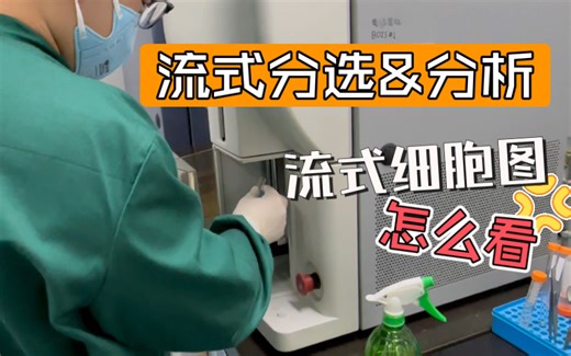 沉浸式做实验|流式分选&流式细胞图分析+FlowJo圈门操作