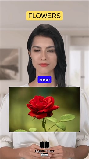 9.3K views · 205 reactions | Flowers names in English If you want to improve your English vocabulary, subscribe to our YouTube channel.❤️ #english #englishspeaking #englishlearning #englishteacher #englishvocabulary #englishwords #englishtips #englishgrammar | English 5Days Shorts | Facebook