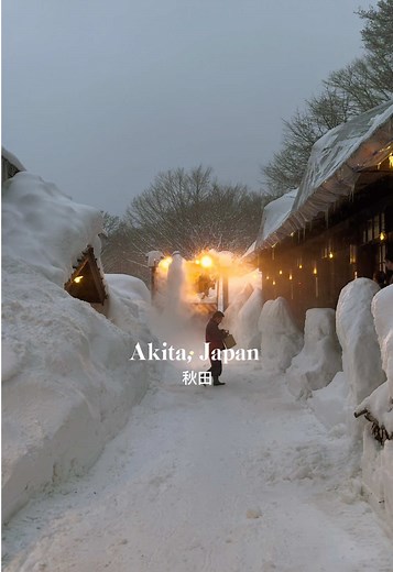 Discover the Winter Beauty of Akita, Japan
