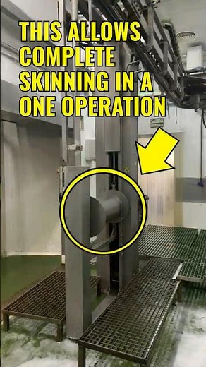 🐑 ELECTROPNEUMATIC SKINNING MACHINE (Part 5) Exploring the World of Sheep Processing Equipment