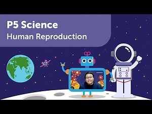 Human Reproduction 2 | P5 Science | Learn PSLE Primary 5 Science with Geniebook