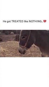 The quietest hearts carry the brightest hope. ♥️✨ #christmas2025 #Jesus #shorts