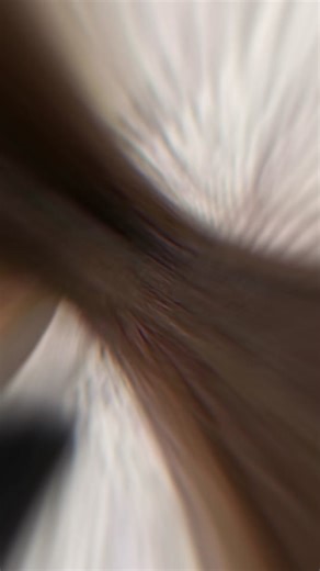 Nubox Chile on TikTok