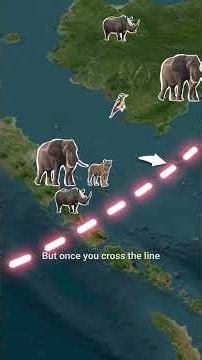 Why Animals Don’t Cross This Invisible Border 🚧 Wallace Line 😱