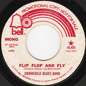 Downchild Blues Band - Flip, Flop And Fly