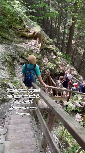 📍Steinwandgraben, Furth an der Triesting, Avusturya #turkenloch #steinwandklamm #travel #macera