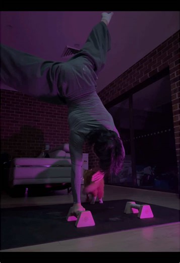 Calisthenics: How My Cat Inspired My Workout Routine