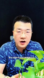 什么是ISCC为什么要做这个认证具体怎么操作？