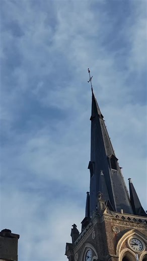 Le chant des faucons pèlerins 🤩 #faucon #jardin #nature