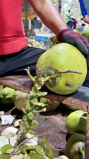 #reels #CoconutWater #HydrationNation #HealthyHabit #NaturalRefreshment #TropicalTreat #DrinkToYourHealth #CoconutCraze #IslandVibes #NutrientBoost #SummerSip #ThirstQuencher #CoconutLove #PureAndSimple #StayHydrated #CoconutCrush | Coconut Water