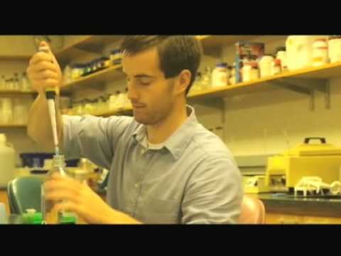 Academics at Colgate