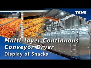 Multi-layer Continuous Conveyor Dryer｜Display of Snacks｜Tsunghsing(TSHS)