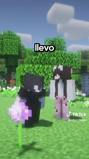 Minecraft Bedrock & Java Server Setup Guide