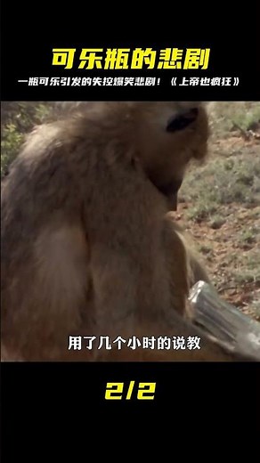 一個可樂瓶引發的悲劇，搞笑電影《上帝也瘋狂》 #仙漫人說 #解說 #電影解說 #酷拉皮卡 #獵人