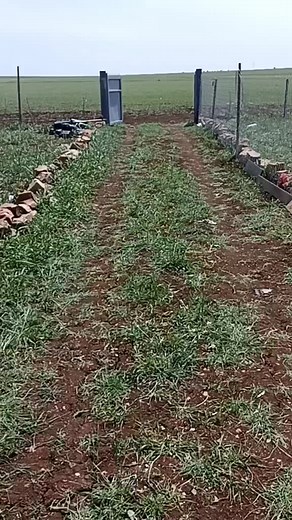 Mabrouk mohamed sur TikTok