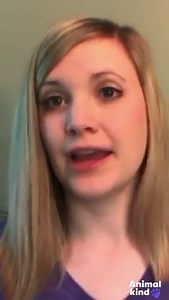 1.5M views | She walked into an animal shelter and said she wanted the oldest and sickest dogs they had.  | Argus Leader Media | Facebook