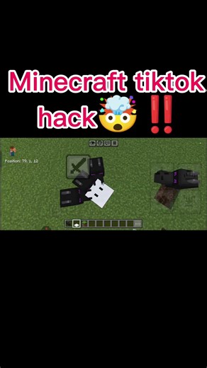 Minecraft tiktok hack 🤯‼️