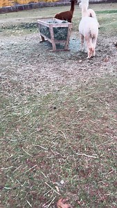 100 reactions · 7 comments | This. This is why boundary-setting in...