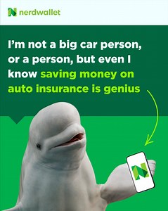 11K views · 99 reactions | Let the Nerds help you find a lower auto insurance rate today. They love that sort of thing. | NerdWallet | Facebook