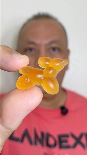 👂ASMR HERBERT’S BEST BALLOON SHAPE KNOT ANIMAL “THE DOG” PEACH COBBLER FLAVOR EATING SOUNDS👂