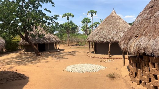 Organized Homestead in Teso Subregion