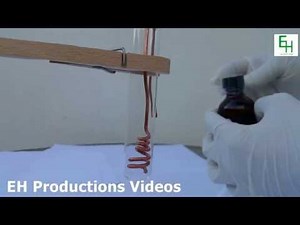 How to Grow a Silver Tree | Part 1 - Growing the Tree