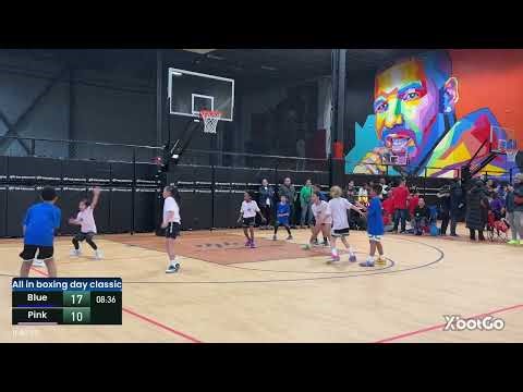 ALL IN BOXING DAY CLASSIC(Pink VS Blue)