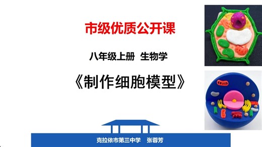 市级优质公开课——制作细胞模型